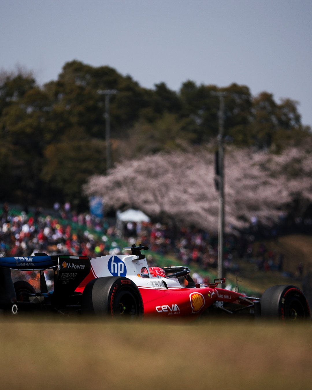 Illustration de la citation