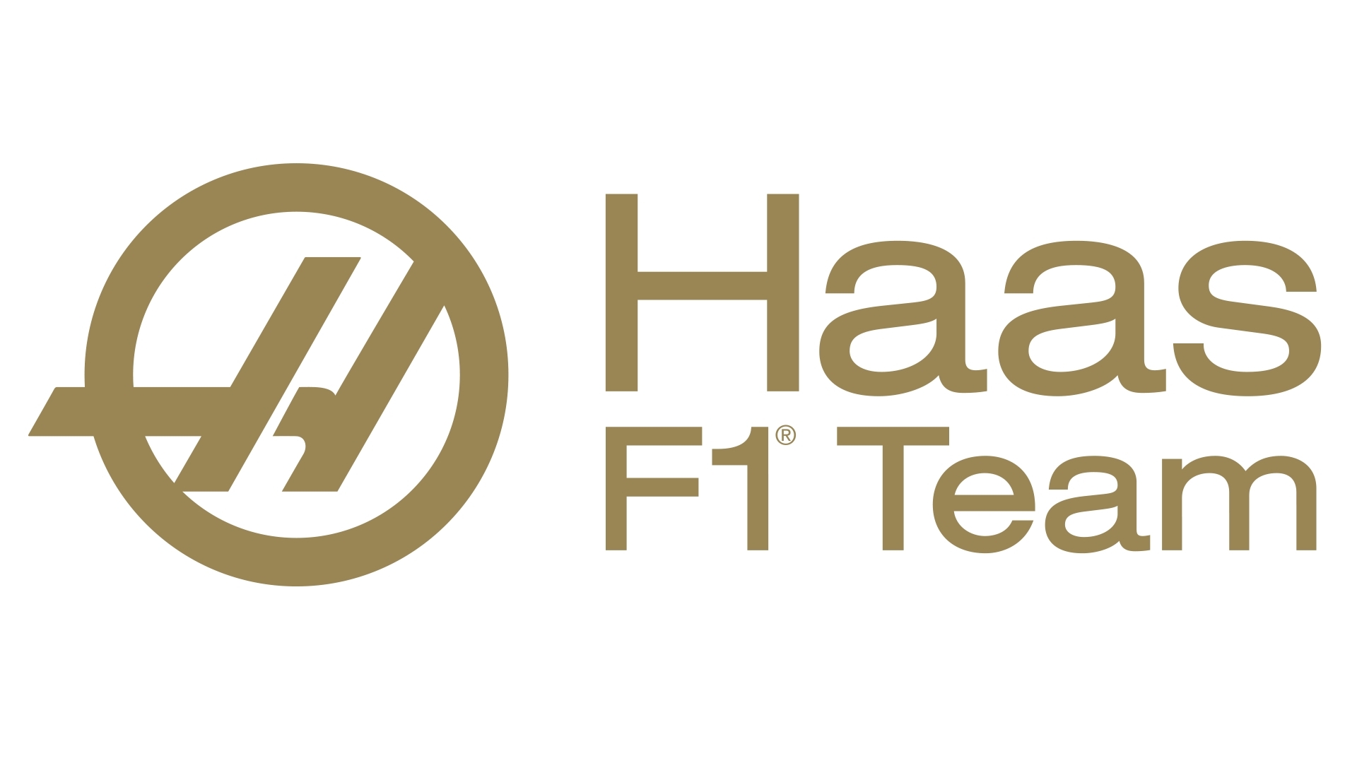 Haas F1 Team, logo